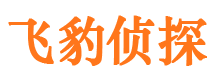 石峰飞豹私家侦探公司